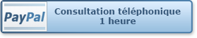 Consultations téléphonique 1 heure